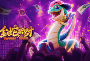 星空全站电脑免费版