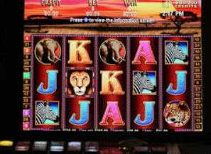 星空全站免费版