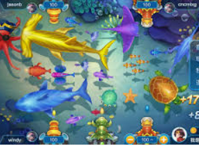 星空全站客户端